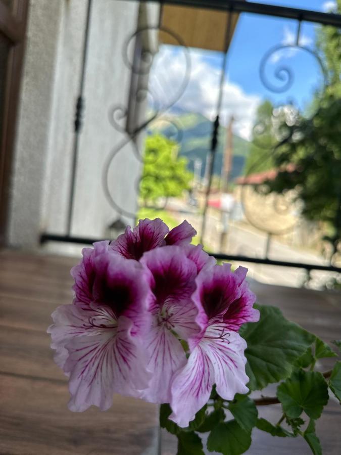Bala'S House Hotel Mestia Exterior foto